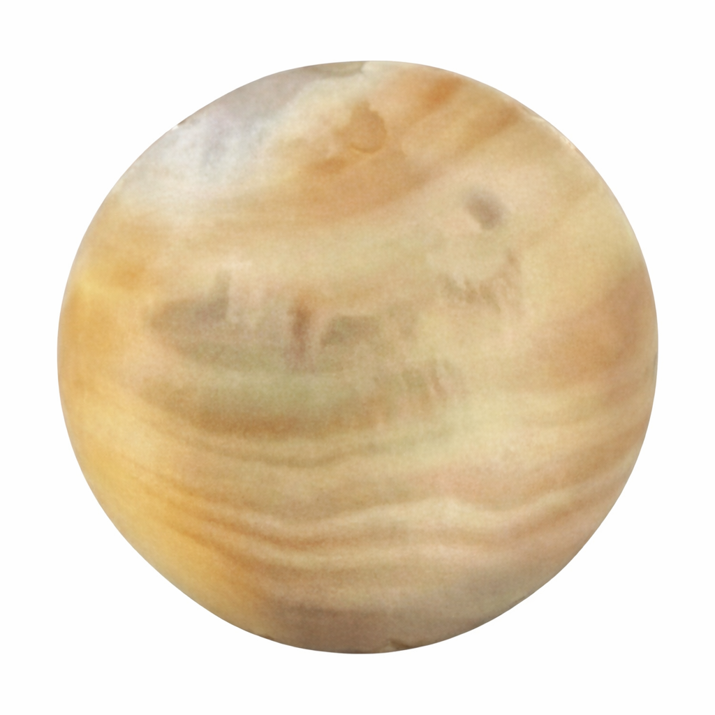 Shell Coin Charm